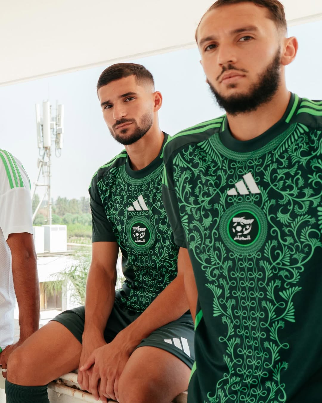 Algeria 2024/25 (Away)