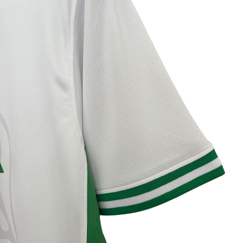 Nigeria 2024/25 (Home)