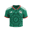 2026 Mexico Crop Top Home Jersey