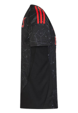 SL Benfica 2024/25 (Away)