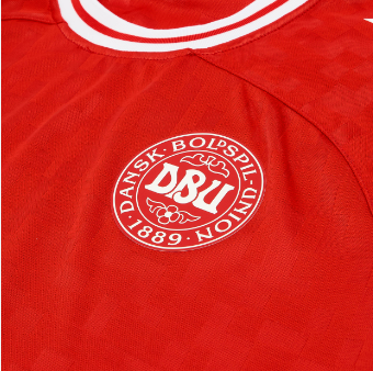 Denmark 2024/25 (Home)