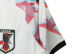 Japan 2022/23 (Away)