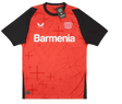 Bayer 04 Leverkusen 2024/25 (Home)