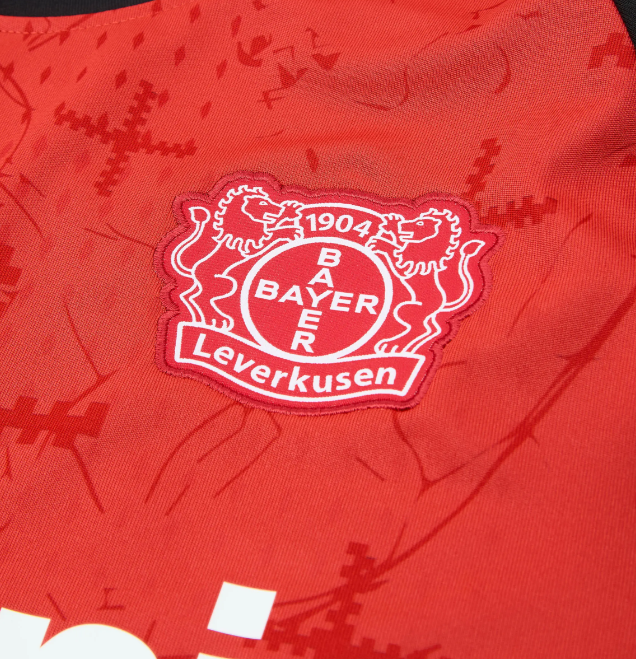 Bayer 04 Leverkusen 2024/25 (Home)