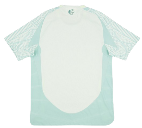 Mexico 2024/25 (Away)